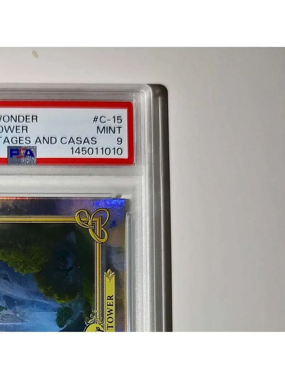 Rapunzel's Tower 2025 Topps Disney #C-15 Card Tangled PSA 9